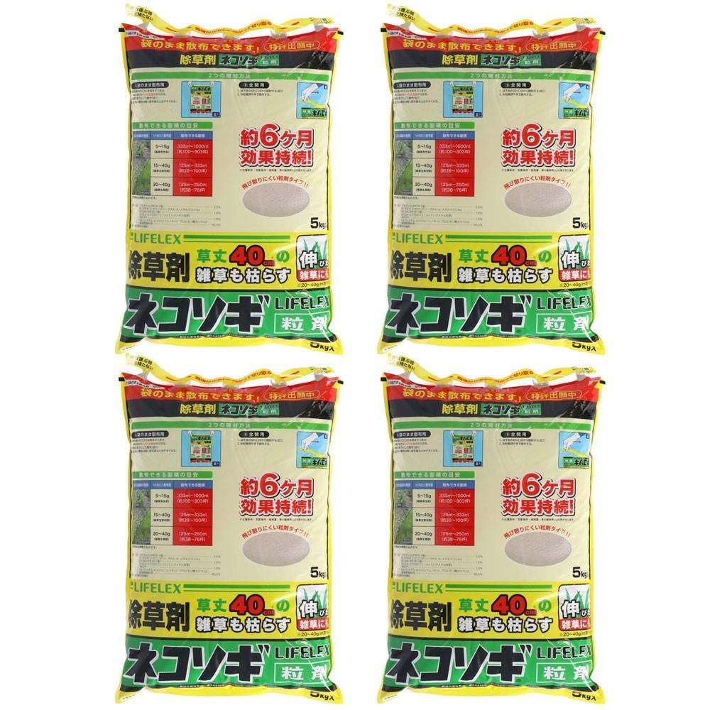 百貨店 SALE