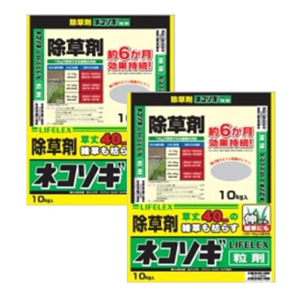 百貨店 SALE