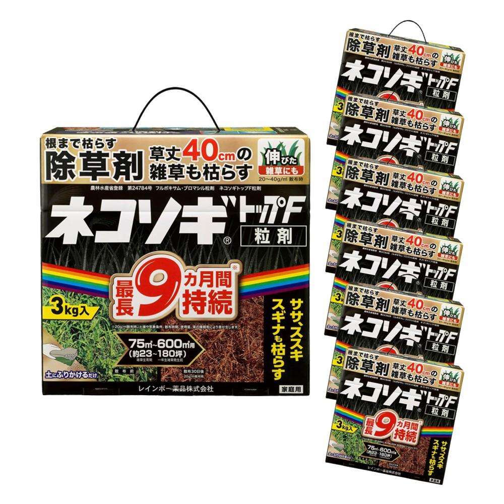 百貨店 SALE