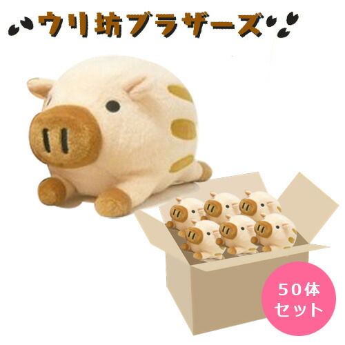 楽天市場】ぬいぐるみ ウリ坊ブラザーズ ベージュ あす楽 結婚