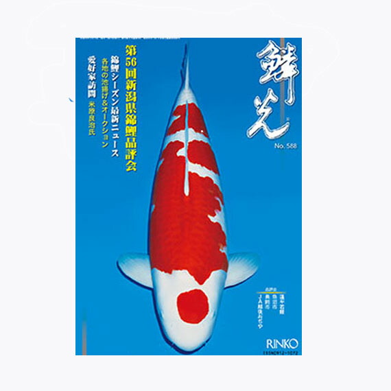☆鱗光 年次購読 同梱不可 貨物輸送無料