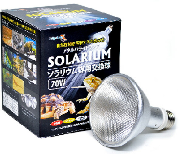 楽天市場】SOLAR RAPTOR HIDランプ 70W ソーラーラプター