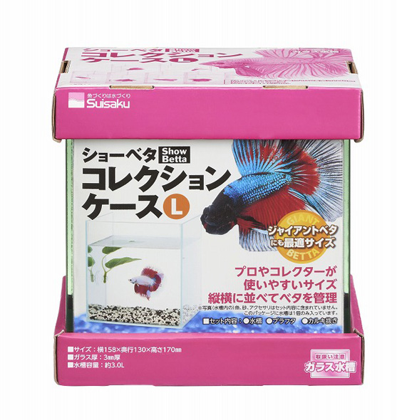 楽天市場】エントリーでポイント5倍！11月1日23時59分迄エアーリング