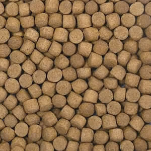 ☆FDフード 超増体飼料 ゲイン L 沈下 20kg送料無料 但、一部地域除|大谷錦鯉店