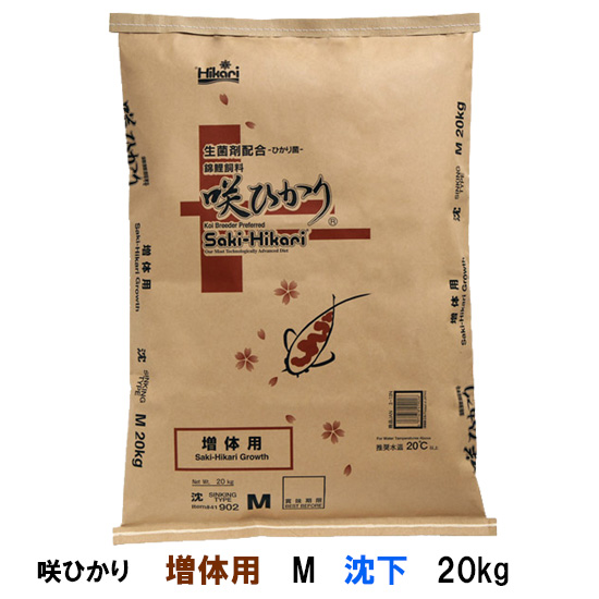 楽天市場】エントリーでポイント5倍！11月1日23時59分迄絹光観鯉 色揚