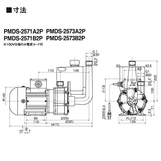 三相電機 自吸式マグネットポンプ PMDS-2573B2P 60Hz 屋内用 ネジ接続 ...