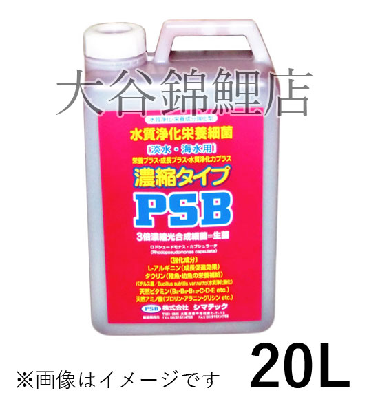 楽天市場 業務用 水質浄化栄養細菌 濃縮タイプpsbプラス プラス プラス 淡水 海水用 l 送料無料 但 一部地域送料別途 大谷錦鯉店