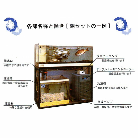 ゼンスイ活魚水槽潮1200ZD水槽フルセットSUS架台・化粧3面・結露受付送料無料但し、北海道・九州10000円沖縄・離島は別途見積もり。【♭】