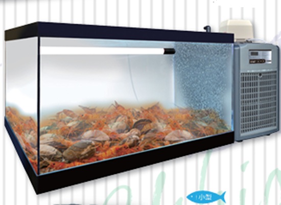 ☆ゼンスイ 活魚水槽 潮 900ZR 水槽フルセット　個人宅配送不可 送料別途見積｜大谷錦鯉店