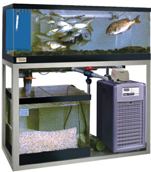 楽天市場】☆日東機材 活魚畜養水槽 潮騒1型 水槽フルセット送料無料