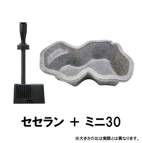 ☆タカラ　みかげ調プラ池　ミニ30＋ゼンスイ　セセラン【送料無料】【♭】