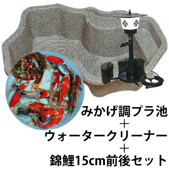 ☆タカラ みかげ調プラ池L600+富士SR+錦鯉15cm前後 20尾セット
