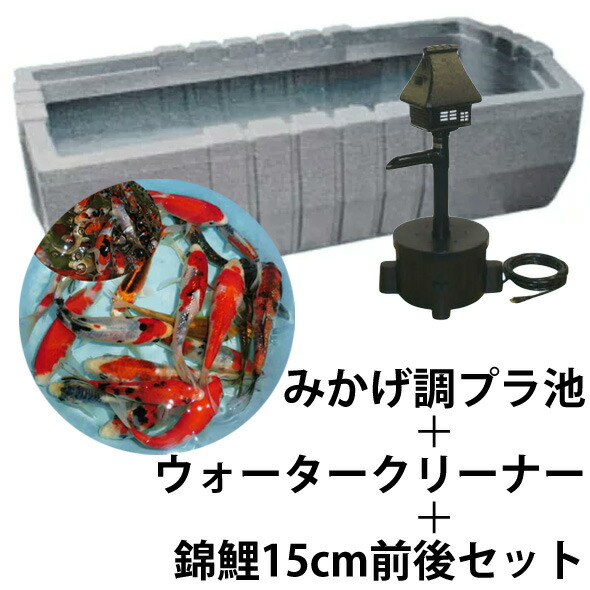 ☆タカラ みかげ調プラ池 ベランダ据置型 RC185+せせらぎFR+錦鯉15cm前後 10尾セット