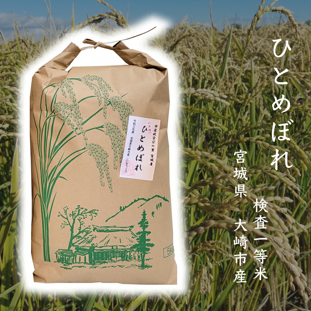 楽天市場】【新米】令和6年産 お米 あきほなみ 5kg 2セット 特A