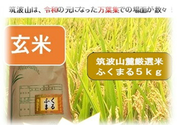 ★楽天月間優良ショップ受賞★お米 ★ 玄米 ５ｋｇ 福丸 玄米5kg 令和６年産 「 筑波山麓厳選 ふくまる 」 送料無料 f08 <br> 五分搗き 七分搗き 白米 選択可<br>茨城 5キロ 茨城県産 こめ ブランド米 高級米 玄米ご飯 おいしい 美味しい  仕送り
