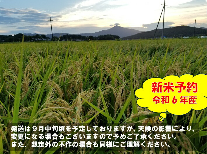 楽天市場】☆新米☆玄米 ３０ｋｇ 恋瀬姫の舞 令和6年産 「筑波山麓厳選 こしひかり」 送料無料 k13 五分搗き 七分搗き 白米 精米選択可コシヒカリ  30キロ 高級 ブランド米 お得 特A お米 30kg おいしい 七分づき 五分づき : ポンせんとお米専門店こいせライス