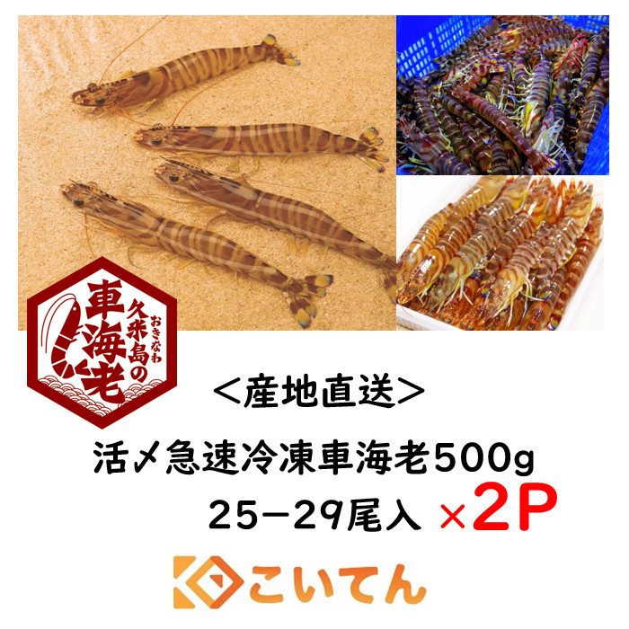 久米総合開発　車海老　５００ｇ　２５&minus;２９尾入　&times;　２パック　活〆急速冷凍　送料無料　中　12-14cm　えび　エビ　海老　車エビ　車えび　くるまえび　沖縄　久米島　産地直送　刺身　しゃぶしゃぶ　海老フライ　塩焼き｜こいてん　店