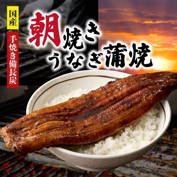 【 朝焼きうなぎ蒲焼 / 2サイズ 2尾 4尾 】 お中元 夏ギフト うなぎ蒲焼 冷凍 うなぎ蒲焼き 鹿児島県産 うなぎ 長焼き 鰻 蒲焼 国産 うなぎ ギフト 鹿児島 高級 父の日ギフト 父の日プレゼント うなぎ 国産 2尾 4尾 炭火焼き 国産うなぎ うなぎ セット お取り寄せ プレゼント|大トロうなぎの鯉家店