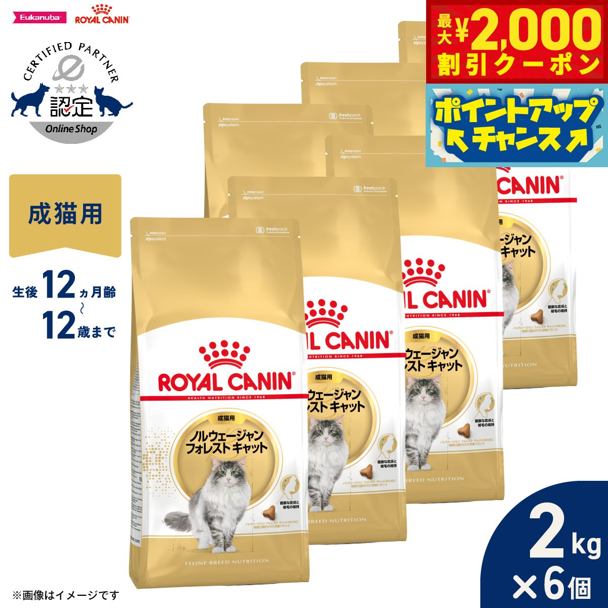 【最大2000円OFFクーポン！＆店内ポイント最大54倍！本日限定！】ロイヤルカナン 猫 キャットフード フィーラインブリードニュートリション ノルウェージャン フォレストキャット専用フード 成猫用 2kg×6個 正規品