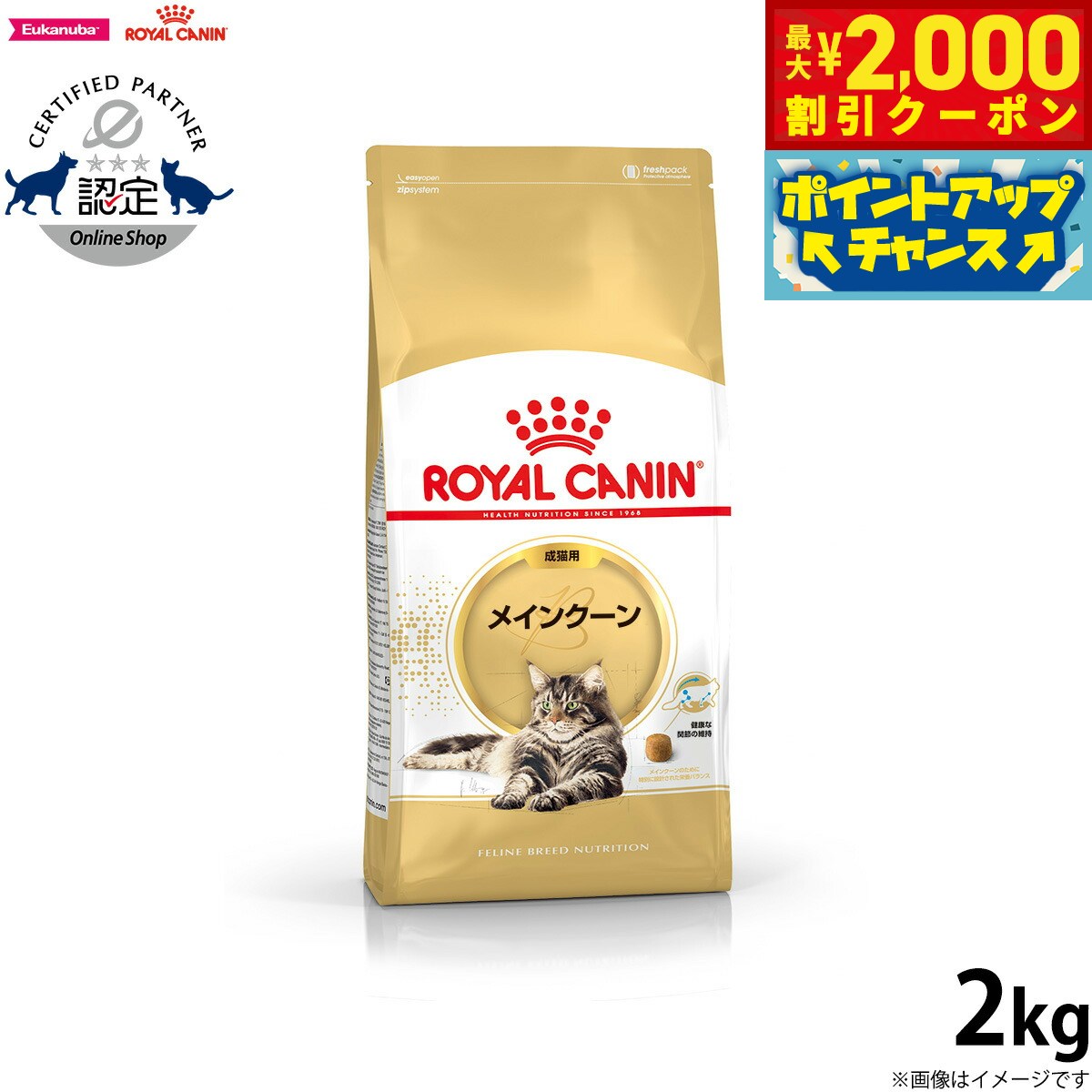 楽天市場】【2000円OFFクーポン!&店内ポイント最大59倍!本日 楽天市場】【2000円OFFクーポン!&店内ポイント最大59倍!本日