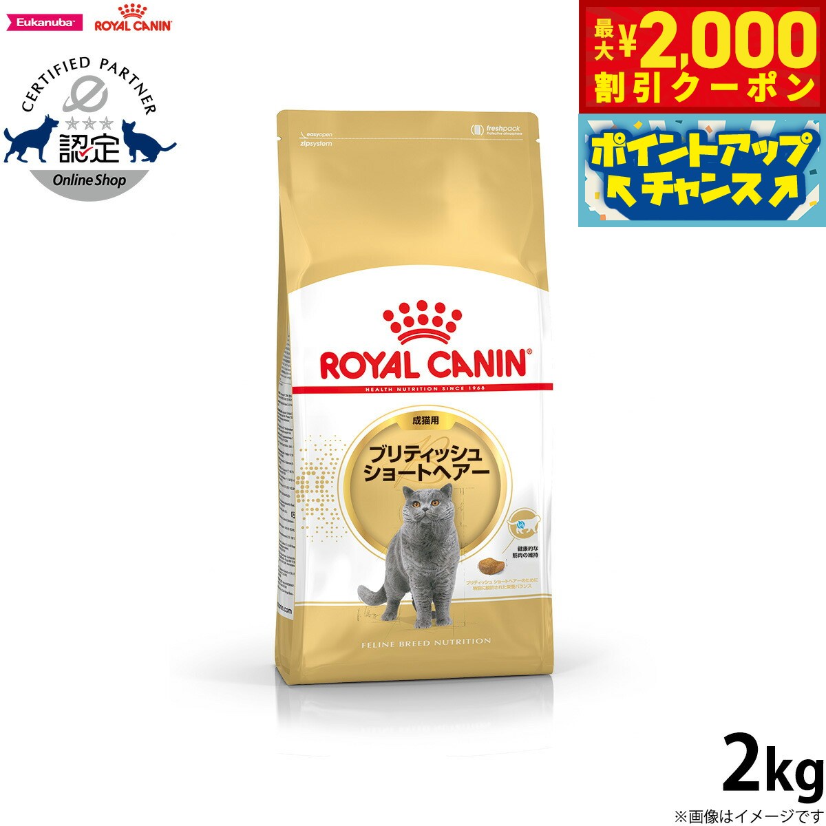 楽天市場】【2000円OFFクーポン！＆店内ポイント最大53倍！本日
