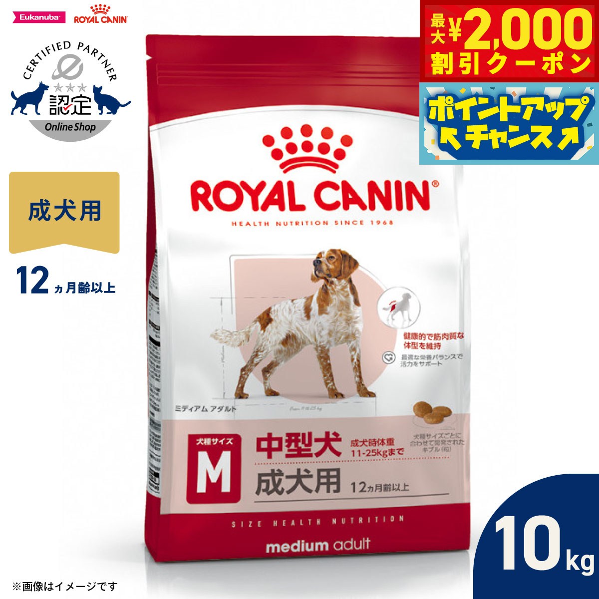 うちの子に合うごはんを選ぶ悧巧に
