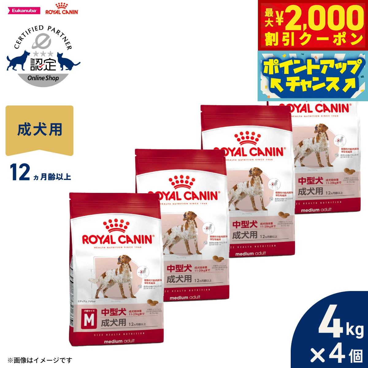 うちの子に合うごはんを選ぶ目的に
