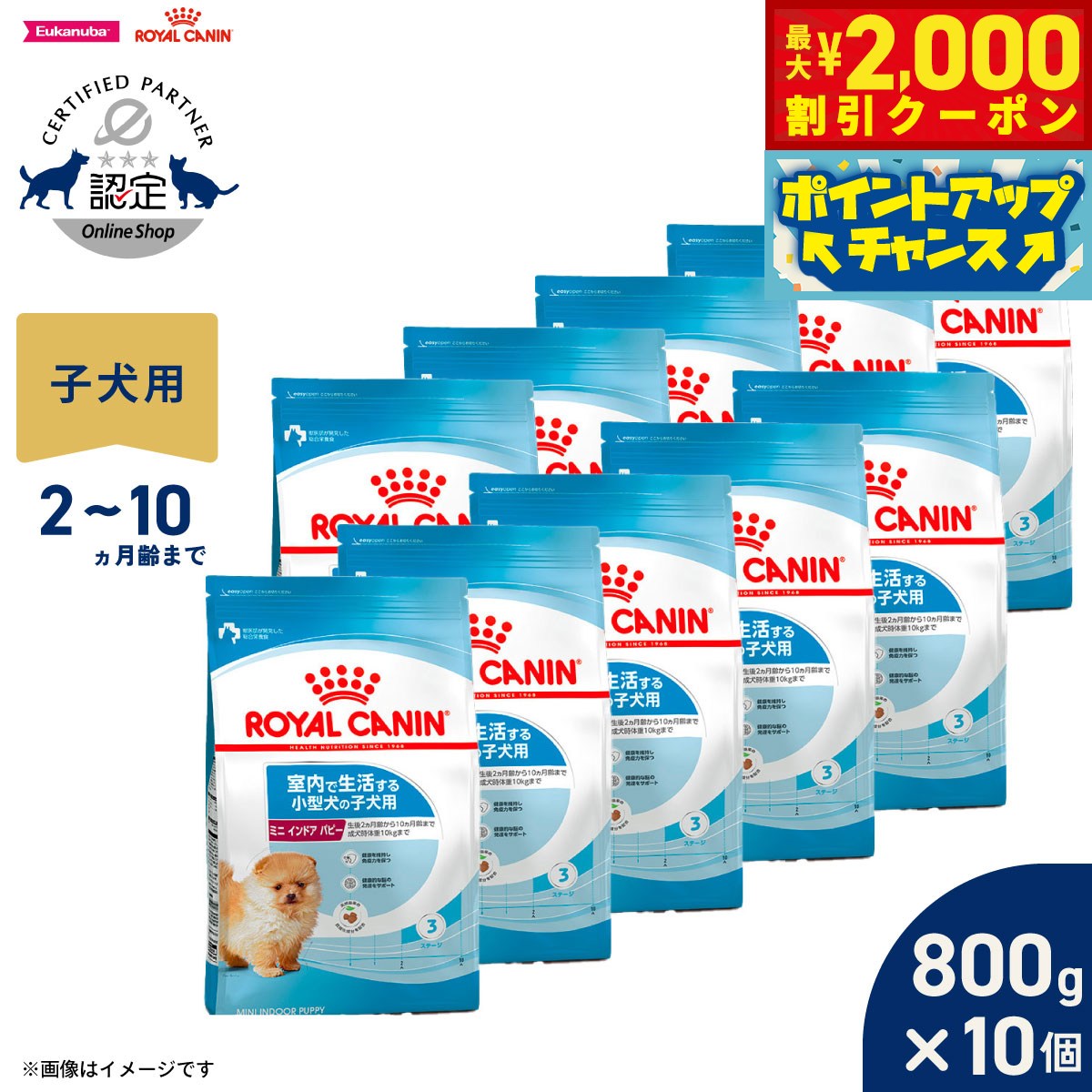 うちの子に合うごはんを選ぶ悧巧に