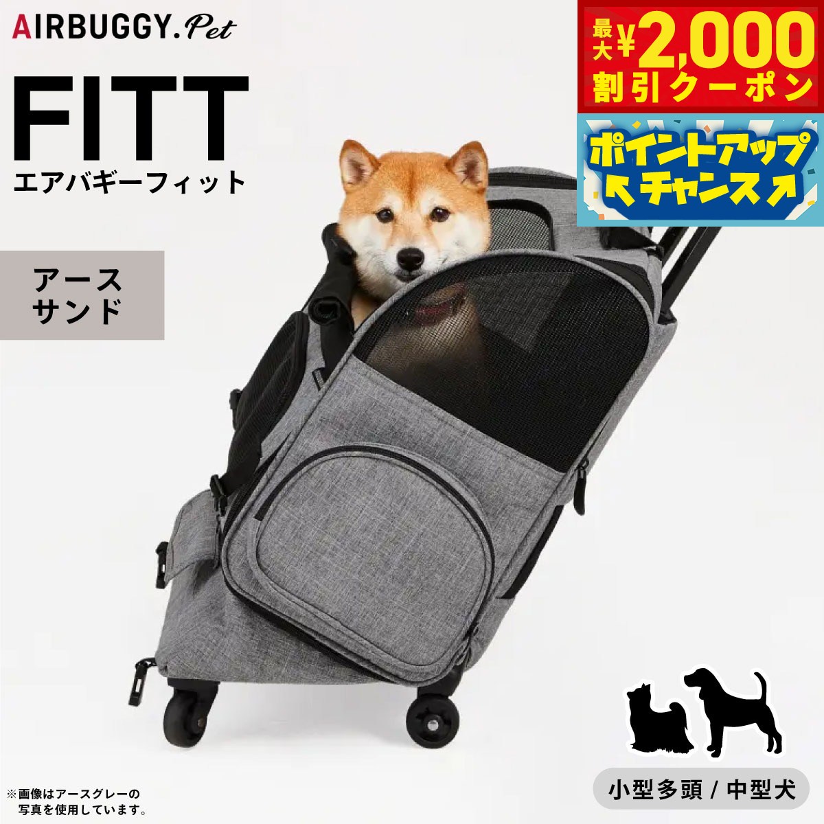 うちの子に合うごはんを選ぶ目的に