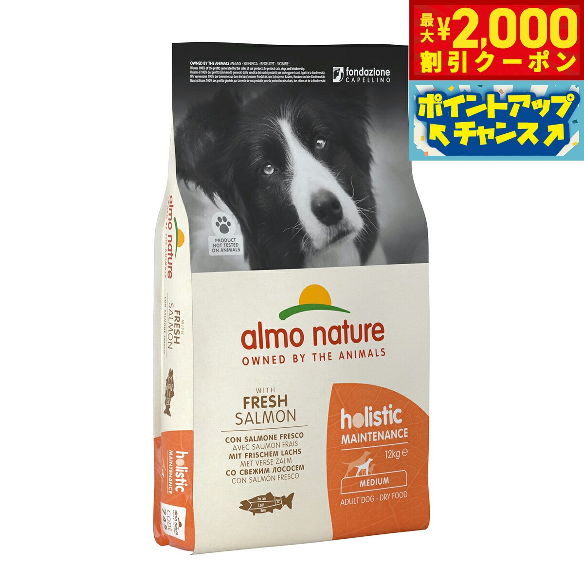 うちの子に合うごはんを選ぶ悧巧に