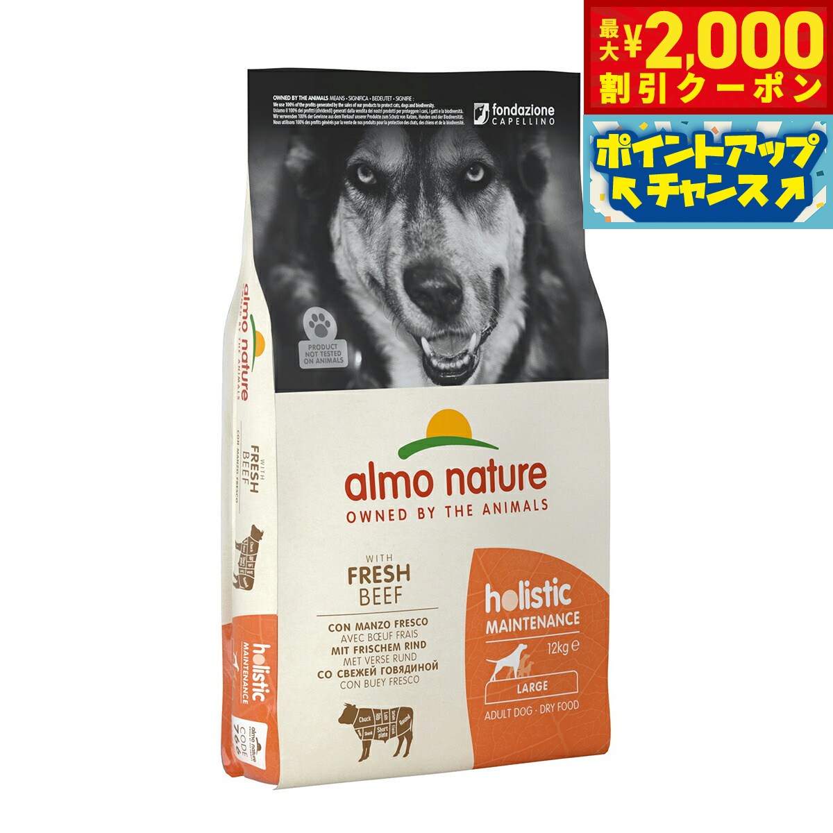 うちの子に合うごはんを選ぶ悧巧に