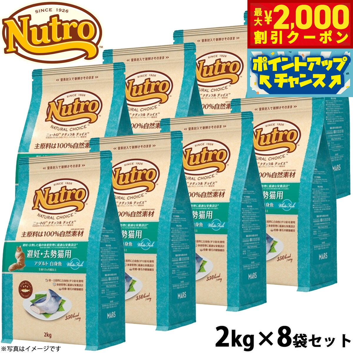 うちの子に合うごはんを選ぶ悧巧に