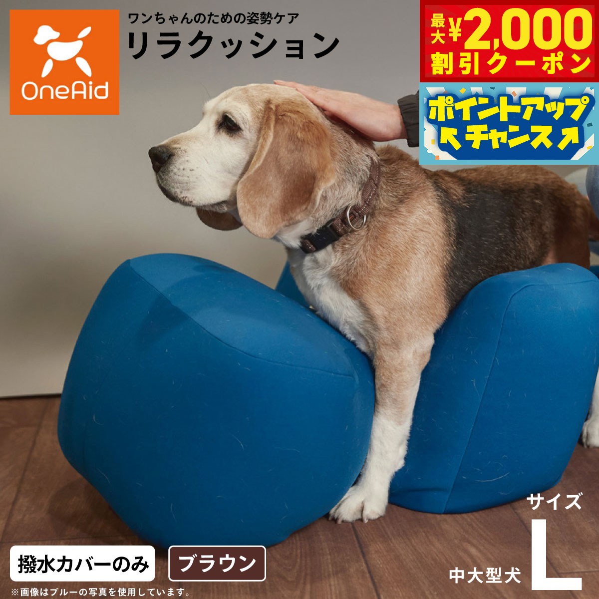 うちの子に合うごはんを選ぶ悧巧に