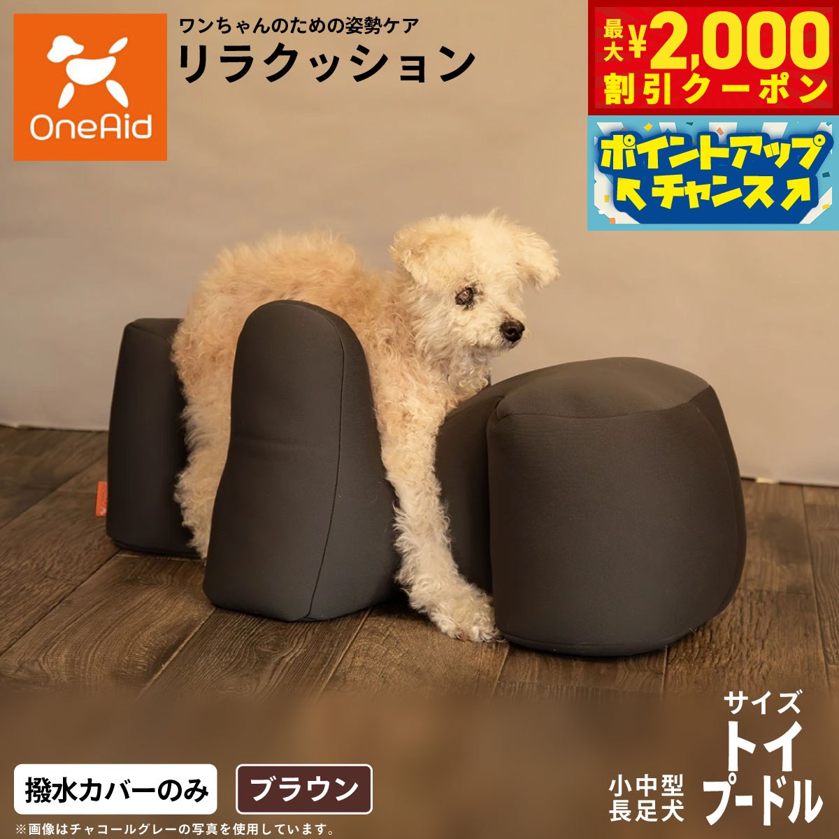 うちの子に合うごはんを選ぶ悧巧に