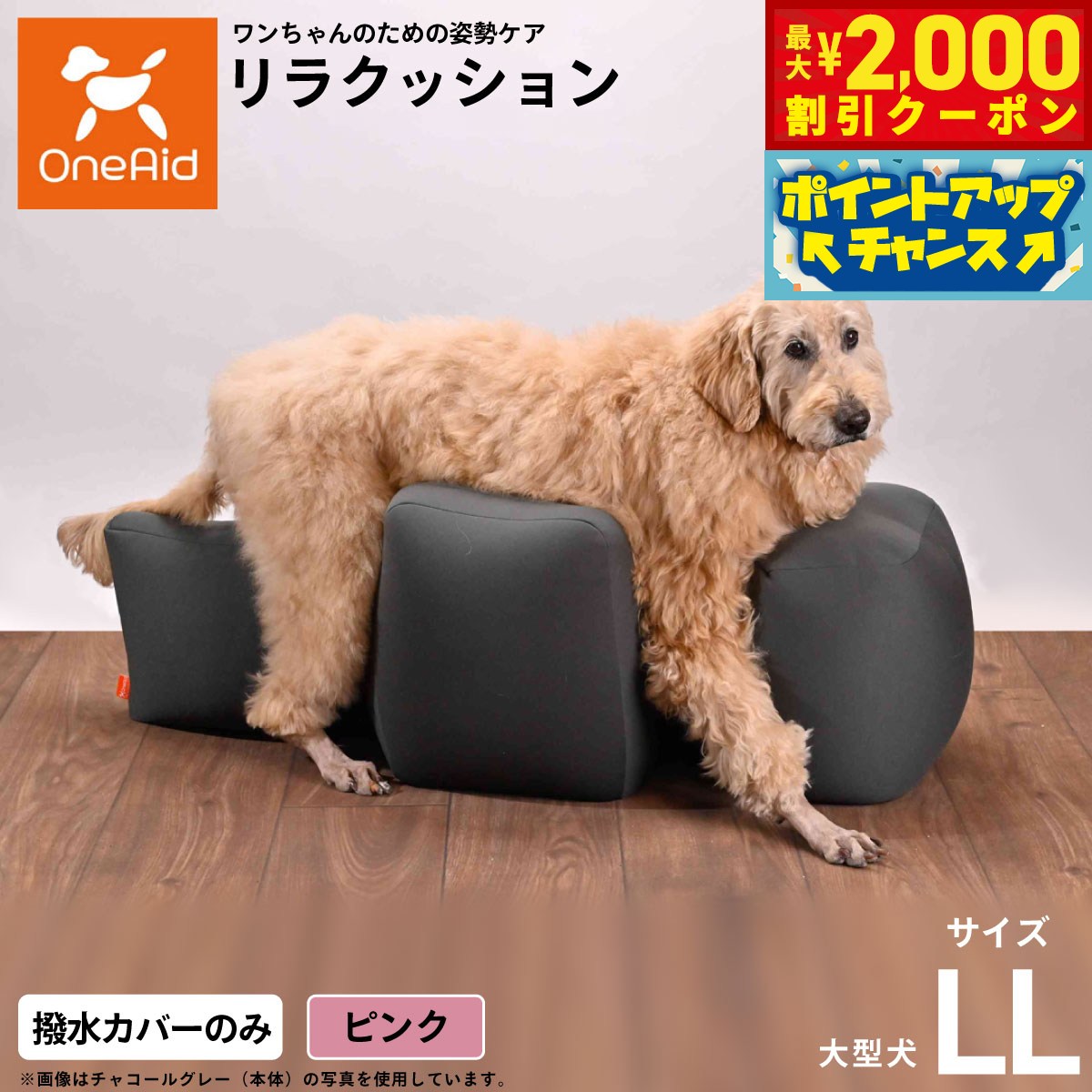 うちの子に合うごはんを選ぶ悧巧に