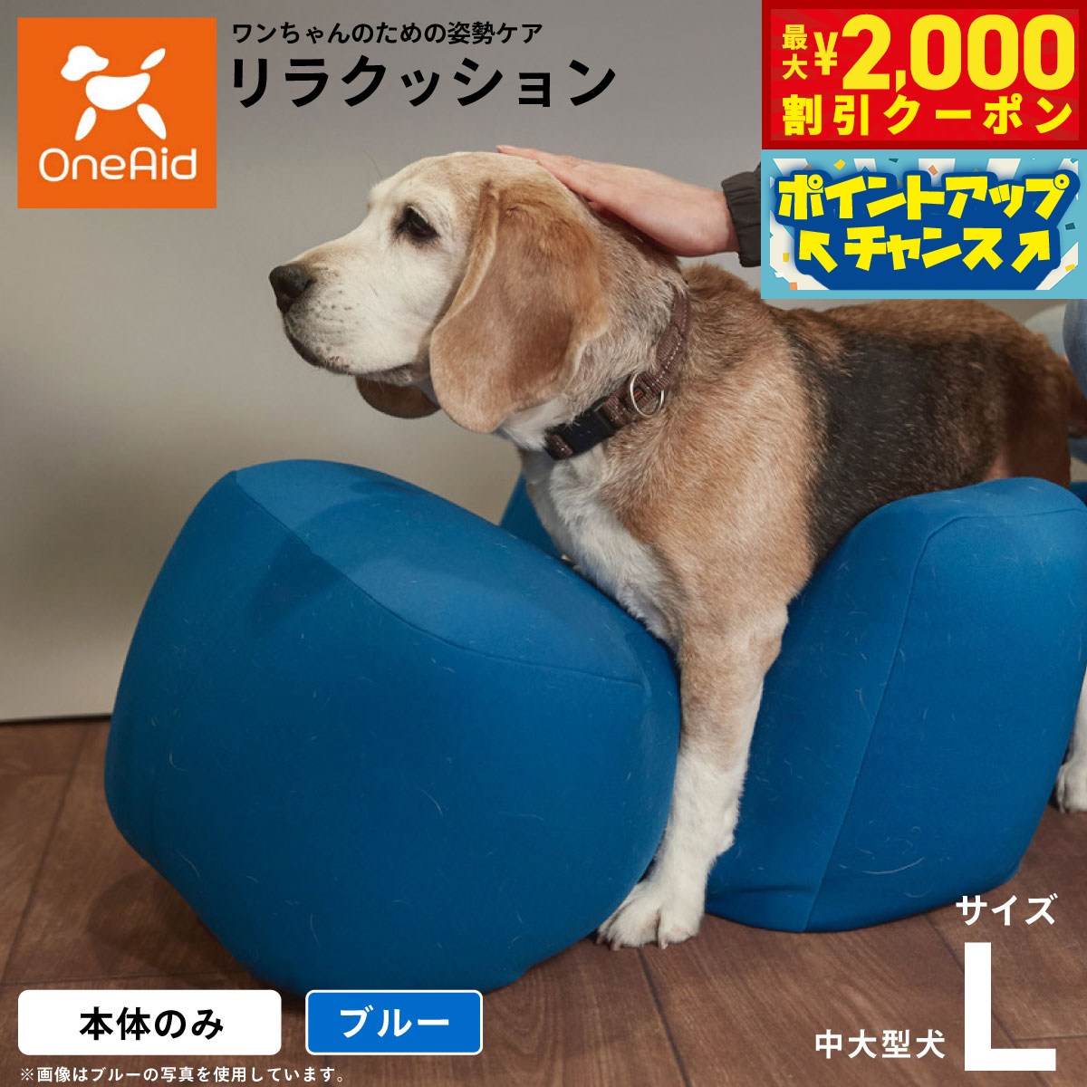 うちの子に合うごはんを選ぶ悧巧に