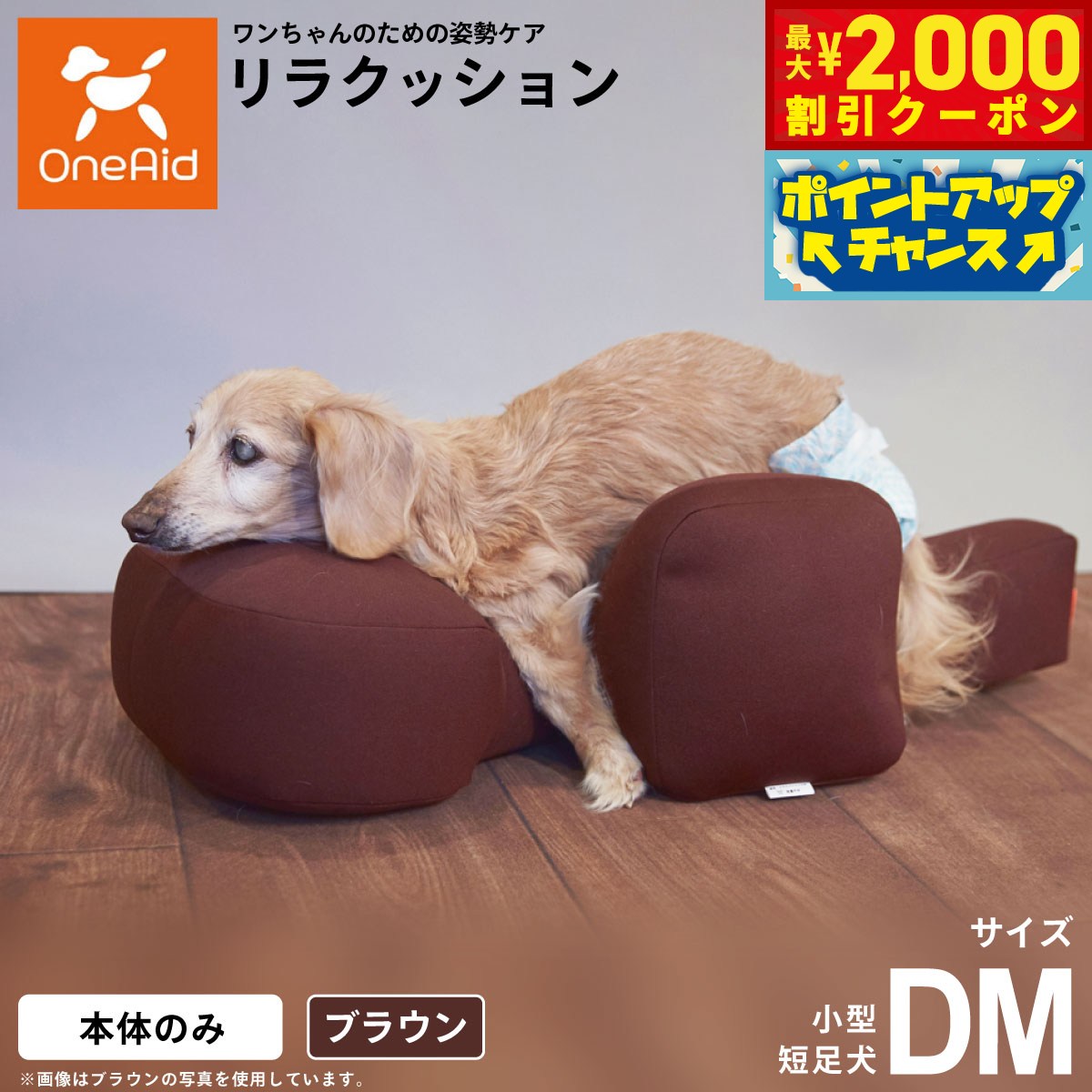 うちの子に合うごはんを選ぶ悧巧に