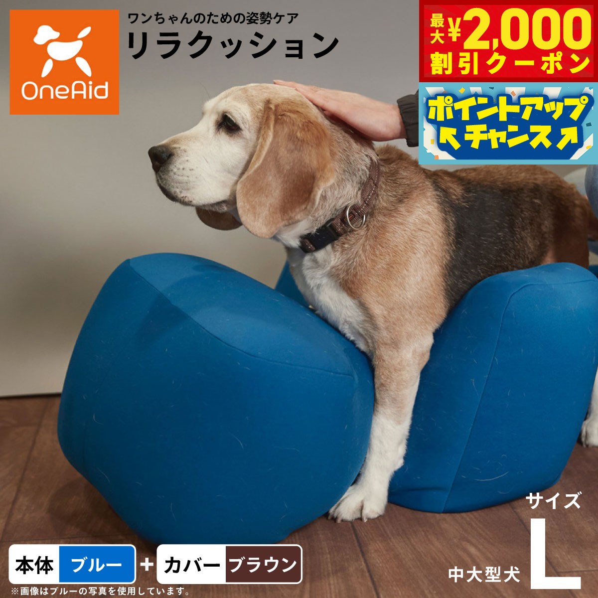 うちの子に合うごはんを選ぶ悧巧に