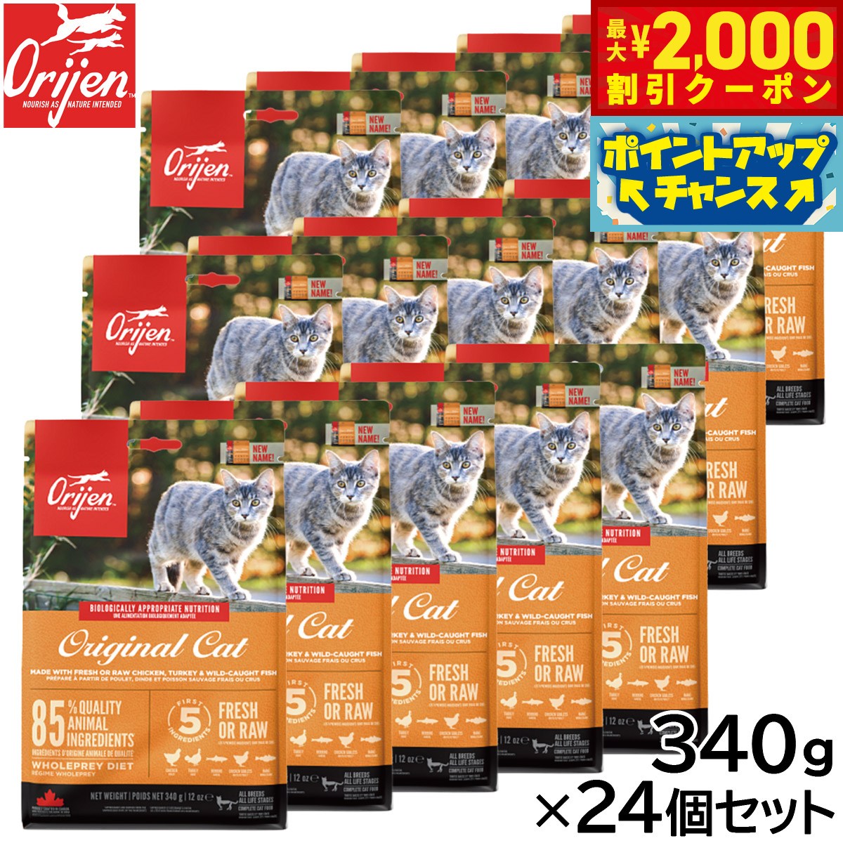 うちの子に合うごはんを選ぶ悧巧に