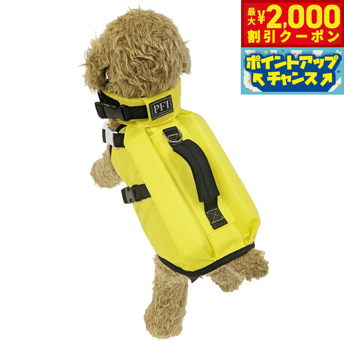 うちの子に合うごはんを選ぶ利得に