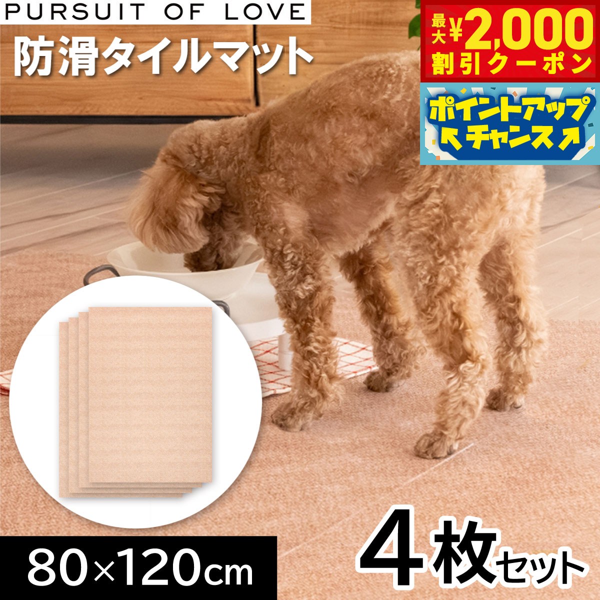 うちの子に合うごはんを選ぶ悧巧に
