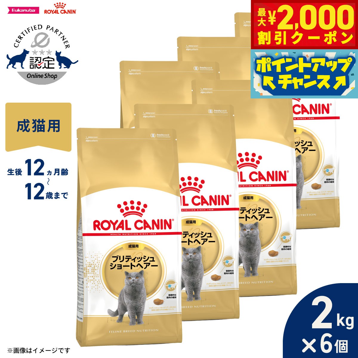 うちの子に合うごはんを選ぶ悧巧に