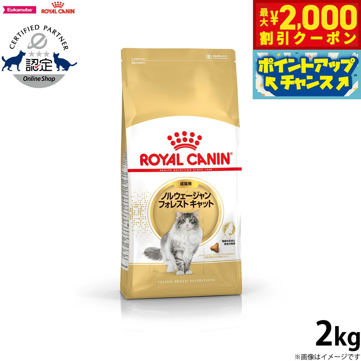  CANIN ステアライズド 2kg x2 ロイヤルカナン Amazon | ロイヤルカナン ステアライズド（避妊・去勢で太り
