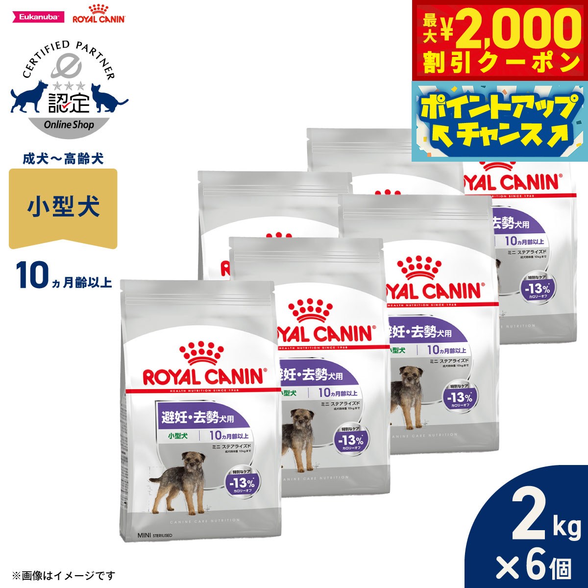 うちの子に合うごはんを選ぶ目的に