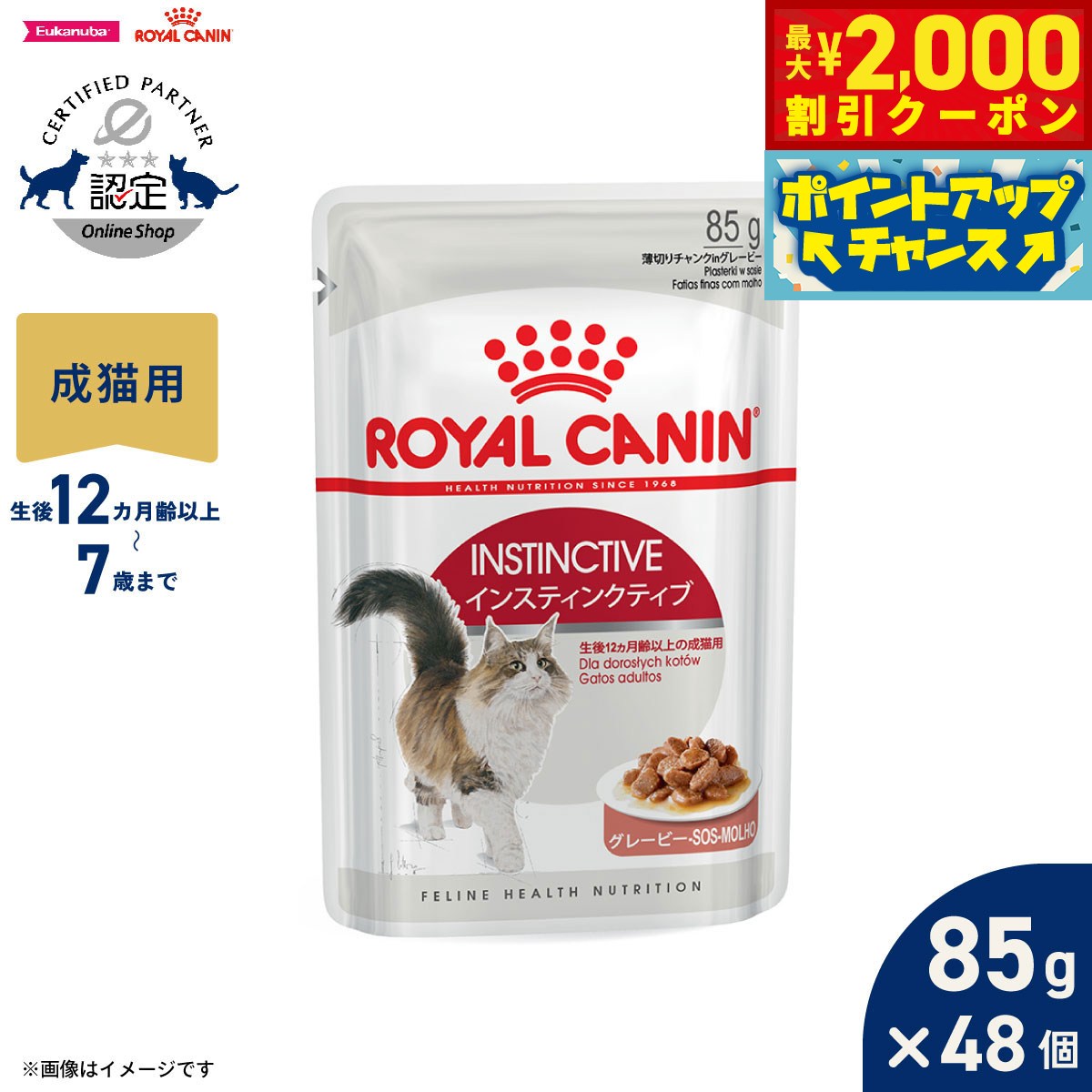 うちの子に合うごはんを選ぶ悧巧に