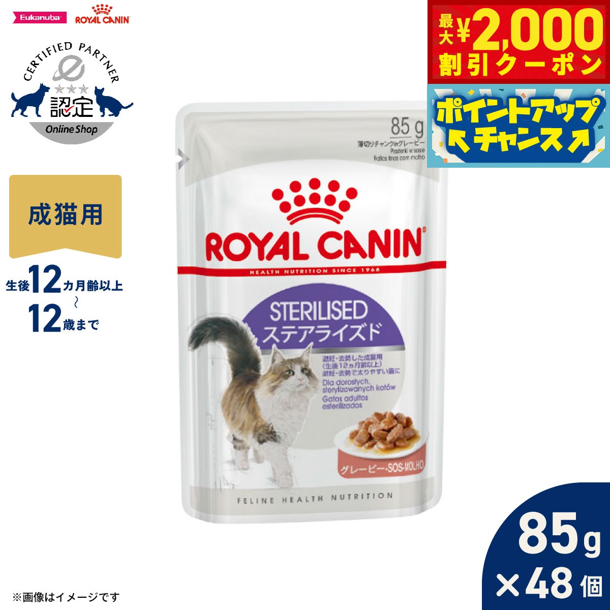 うちの子に合うごはんを選ぶ悧巧に