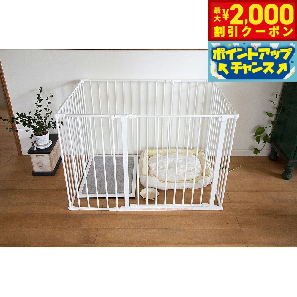 うちの子に合うごはんを選ぶ悧巧に