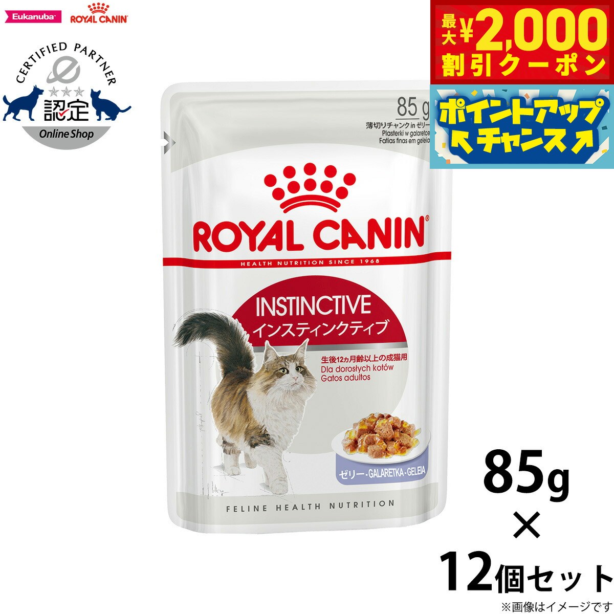 楽天市場】【2000円OFFクーポン！＆店内ポイント最大58倍！本日