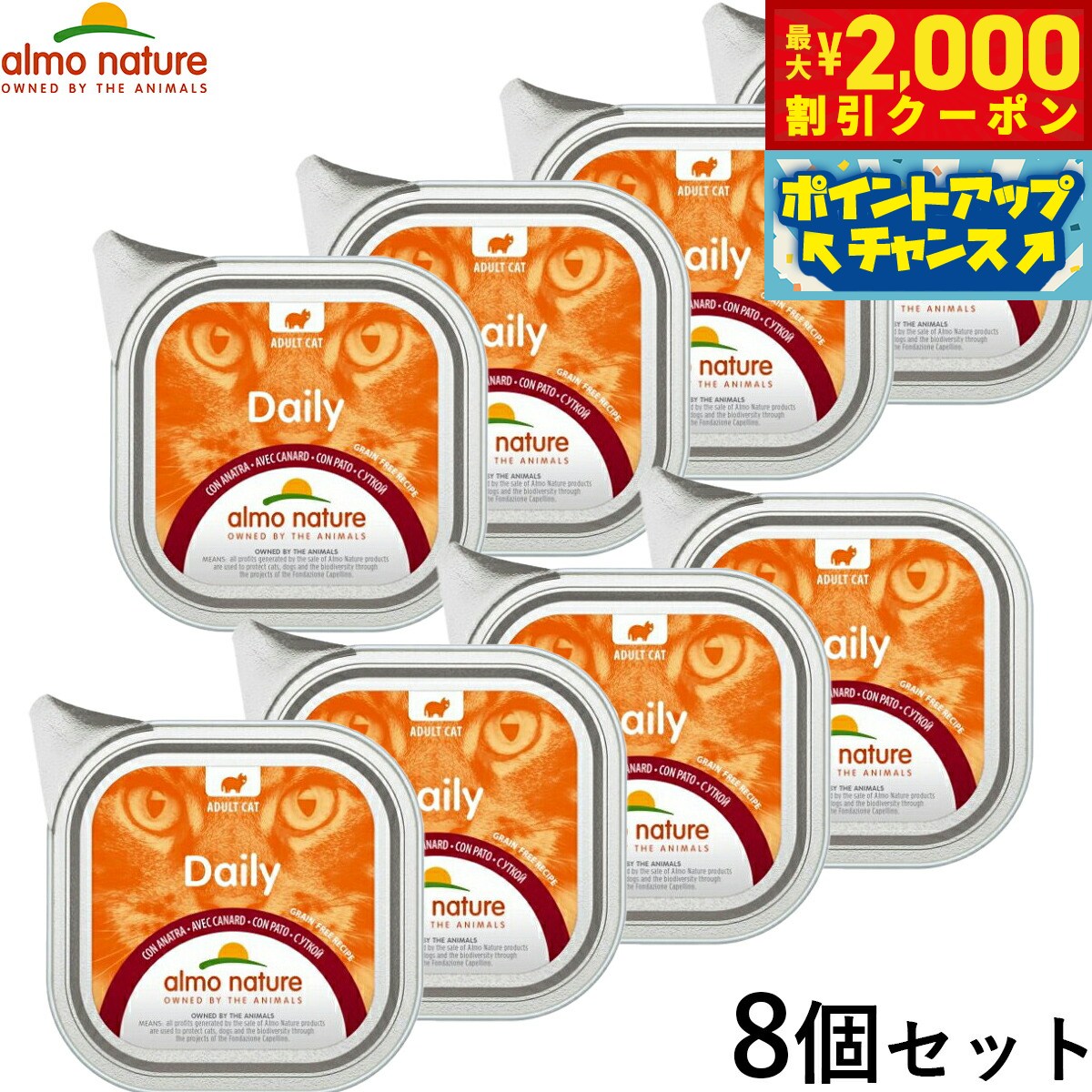 楽天市場】【2000円OFFクーポン！＆店内ポイント最大57倍！本日