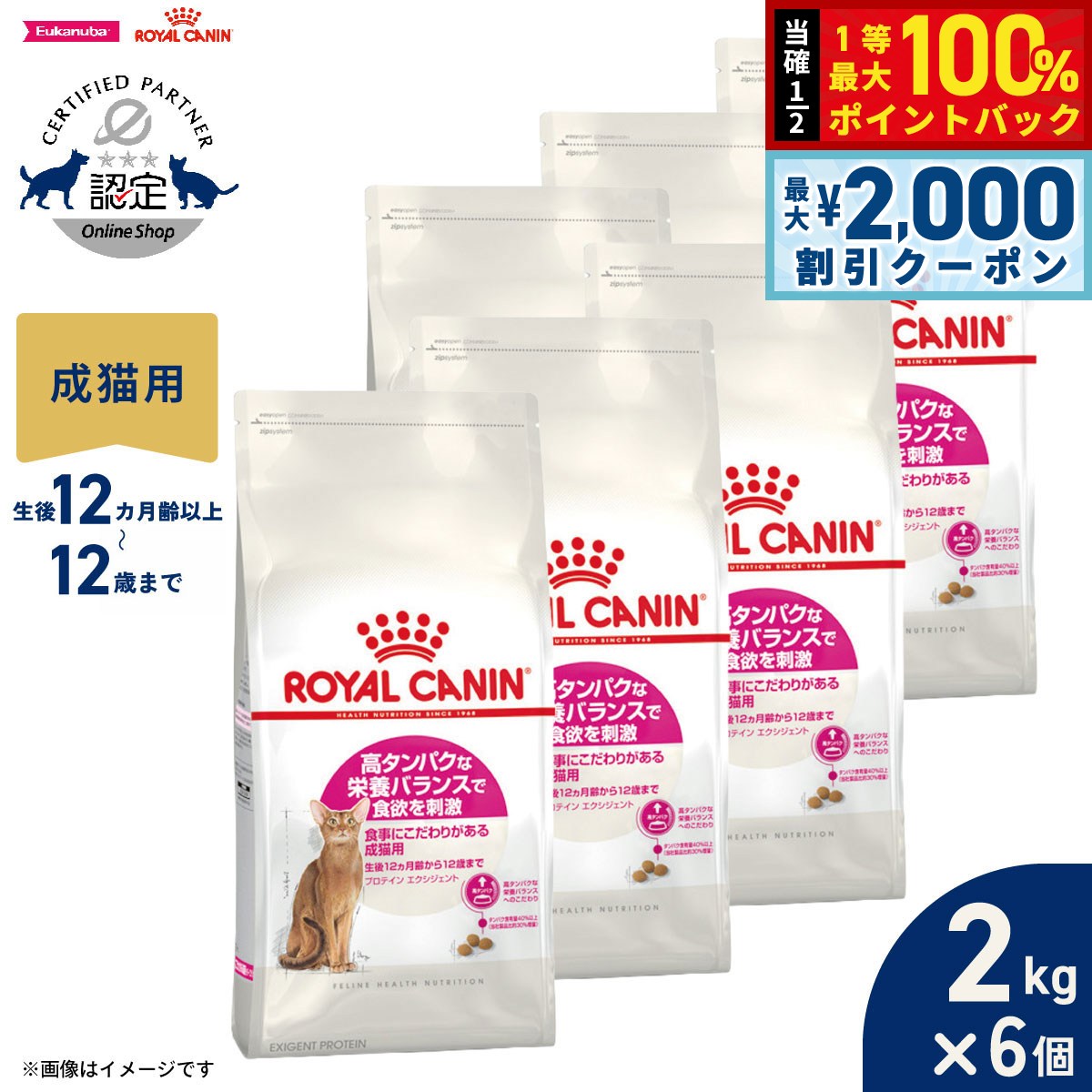 【7/25限定！2000円OFFクーポン＆抽選で1万ポイントバック】ロイヤルカナン 猫 キャットフード フィーラインヘルスニュートリション プロテインエクシジェント 2kg&times;6個 正規品 高タンパクな栄養バランスにこだわる猫専用フード 成猫用｜コジコジ